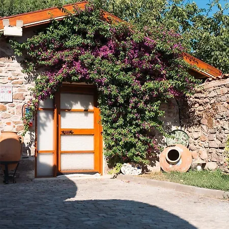 Hotel Vasvija